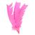 Penas Coloridas De Pato 25 Unidades Fantasias Carnaval Arte Rosa