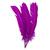 Penas Coloridas De Pato 25 Unidades Fantasias Carnaval Arte Violeta