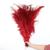 Penas De Avestruz Palito Ideal Artesanato 100 gramas - CLIQUE PARA MAIS CORES Vermelho