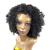 Peruca Lace Wig Afro Cacheada Modelo Sonya Fibra Premium Curta Sp2430