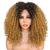 Peruca Lace Wig Afro Cacheada Organica Aspecto Cabelo Humano R48c15a