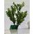 Planta artificial decorativa - FL 19530 VERDE ESCURO