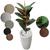 Planta Artificial Ficus Lyrata Outono Toque Real com Vaso Decorativo Coluna Branco