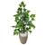 Planta Artificial Figueira Verde Hera com Vaso Decoração 3D Bege