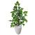 Planta Artificial Figueira Verde Hera com Vaso Decoração 3D Branco