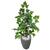 Planta Artificial Figueira Verde Hera com Vaso Decoração 3D Cinza