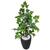 Planta Artificial Figueira Verde Hera com Vaso Decoração 3D Preto