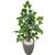 Planta Artificial Figueira Verde Hera com Vaso Decoração Grafiato Cinza