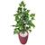 Planta Artificial Figueira Verde Hera com Vaso Decoração Grafiato Vermelho
