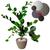 Planta Zamioculca Suculenta Artificial Vaso Decoração Sala 3D Bege P