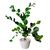 Planta Zamioculca Suculenta Artificial Vaso Decoração Sala 3D Branco P