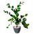 Planta Zamioculca Suculenta Artificial Vaso Decoração Sala 3D Grafite P