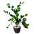 Planta Zamioculca Suculenta Artificial Vaso Decoração Sala 3D Preto P