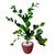 Planta Zamioculca Suculenta Artificial Vaso Decoração Sala 3D Vermelho P