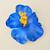 Presilha Flor Havaiana de Hibisco Colorida Azul