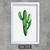 Quadro de Papel Cactus  - 1375 Branco