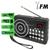 Rádio Fm Portátil Com Bluetooth Mp3 Recarregável USB JD32 Preto