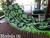 Rede De Descanso Dormir Casal Indiana Reforçada Varias Cores Verde fluorescente tigre