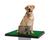 Refil Grama Sintética para Pets (60x40) Verde