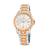 Relógio Pulso Jean Vernier Eelegante Feminino JV01333 Prata+Rosegold