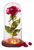Rosa Eterna Iluminada Cúpula Em Vidro Flor Artificial Presente Dia dos Namorados 1