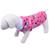 Roupa Soft JN Pet Roupinha Inverno para Cachorro Porte Pequeno e Medio Casaco de Frio Rosa 02