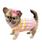 Roupinha Pet Katlen Tricot Vestido Listra Rosa