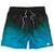 Shorts Praia Masculino WSS Stretch Stains Green 17 Preto