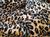 Tecido Pelúcia Pele Estampada Animal Print Chinelos Pantufas Ursinhos 04 guepardo