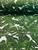 Tecido Percal liso e estampado ideal para Colchas e Almofadas 1m x 2,50 de largura Costela de Adão verde