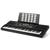 Teclado arranjador revas roland kb-330 teclas sensitivas PRETO