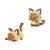  Um bloco de gato galo