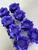 Lilas