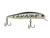  Accz402 gunmetal m white tiger