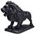  Preto Inteiro 14568