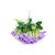  Lilas