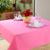Toalha de Mesa 4 Lugares Festa e Sala de Jantar Oxford Lisa 1,50m x 1,40m Pink