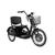 Triciclo Elétrico Duos Confortável para Adultos Motor 800w Preto