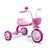 Triciclo Infantil De Alumínio Rosa Nathor You 3 Girl Rosa