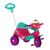 Triciclo Mototico Velobaby 357 Bandeirante Com Haste de Passeio e Pedal Rosa Rosa