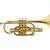 Trompete si bemol cornet harmonics hcr-900l laqueado soft case Dourado