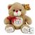 Urso De Pelúcia Amor 29cm em Poliéster Fizzy - 7908204406662 Marrom