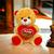 Urso de Pelúcia com coração brinquedo super fofo 21 cm/s para cestas Caramelo