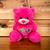 Urso de Pelúcia com coração brinquedo super fofo 21 cm/s para cestas Rosa pink