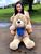 Urso De Pelúcia Gigante Teddy - Grande - 90 cm Avelã, Azul