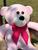 Urso De Pelúcia Gigante Teddy - Grande - Laço Rosa