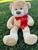 Urso De Pelucia Macio Bicho 50cm Criança Presente Com Laço Várias Cores Doce de leite laço vermelho