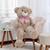 Urso De Pelucia Teddy Gigante Caqui