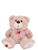 Urso Pelúcia 35cm Antialérgico Presente Decoração Rosa