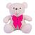 Urso Teddy De Pelúcia Sentado Com Laço Tamanho G 50cm - Barros Baby Store Baunilha com laço pink